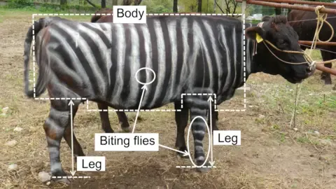 Striped Cattle and Slippery Edibles Win Lighthearted Academic Prizes